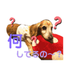 れおんちゃんスタンプ①（個別スタンプ：18）