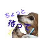 れおんちゃんスタンプ①（個別スタンプ：28）