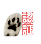 ぺぺさんの承諾（個別スタンプ：2）