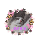 のえちゃんスタンプ❗（個別スタンプ：1）