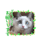 のえちゃんスタンプ❗（個別スタンプ：5）