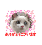 のえちゃんスタンプ❗（個別スタンプ：10）