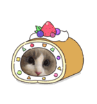 のえちゃんスタンプ❗（個別スタンプ：13）