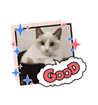 のえちゃんスタンプ❗（個別スタンプ：16）