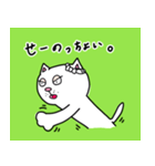 泉ねこ(senneko)（個別スタンプ：3）