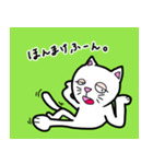 泉ねこ(senneko)（個別スタンプ：4）