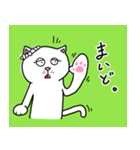 泉ねこ(senneko)（個別スタンプ：9）