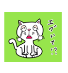 泉ねこ(senneko)（個別スタンプ：13）