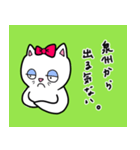 泉ねこ(senneko)（個別スタンプ：14）