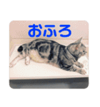 もも姫の日常スタンプ3（個別スタンプ：14）