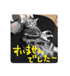 もも姫の日常スタンプ3（個別スタンプ：35）