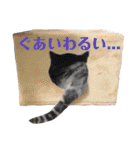 もも姫の日常スタンプ3（個別スタンプ：37）