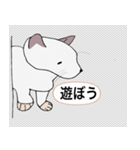 世界一の人懐っこい猫（個別スタンプ：8）