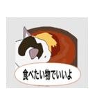 世界一の人懐っこい猫（個別スタンプ：9）