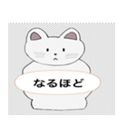 世界一の人懐っこい猫（個別スタンプ：19）