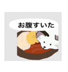 世界一の人懐っこい猫（個別スタンプ：24）