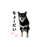 hide_20210506125326（個別スタンプ：8）