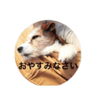 ホップドッグワンツー（個別スタンプ：2）