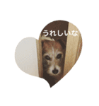 ホップドッグワンツー（個別スタンプ：8）