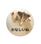 ホップドッグワンツー（個別スタンプ：9）