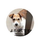 ホップドッグワンツー（個別スタンプ：10）