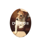 ホップドッグワンツー（個別スタンプ：14）
