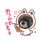 フェレットLOVE❤️（個別スタンプ：5）