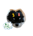ぼく、ソラくん（個別スタンプ：4）