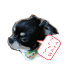 ぼく、ソラくん（個別スタンプ：5）