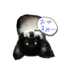 ぼく、ソラくん（個別スタンプ：6）