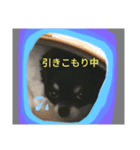 ぼく、ソラくん（個別スタンプ：9）