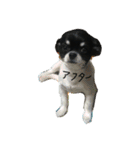 ぼく、ソラくん（個別スタンプ：13）