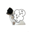 ぼく、ソラくん（個別スタンプ：14）
