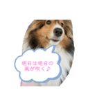 蓮華さんのつぶやき（個別スタンプ：1）