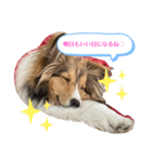 蓮華さんのつぶやき（個別スタンプ：3）
