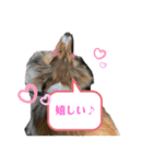 蓮華さんのつぶやき（個別スタンプ：4）