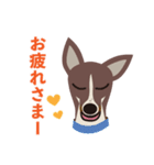 看板犬のごあいさつ（個別スタンプ：8）