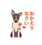 看板犬のごあいさつ（個別スタンプ：10）