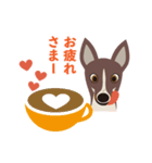 看板犬のごあいさつ（個別スタンプ：17）