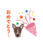 看板犬のごあいさつ（個別スタンプ：24）