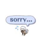しぇりここreal（個別スタンプ：4）