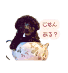 しぇりここreal（個別スタンプ：6）