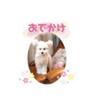 しぇりここreal（個別スタンプ：12）