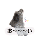 しぇりここreal（個別スタンプ：16）