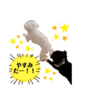 しぇりここreal（個別スタンプ：18）