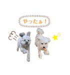 しぇりここreal（個別スタンプ：19）