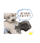 しぇりここreal（個別スタンプ：21）