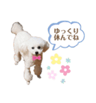 しぇりここreal（個別スタンプ：23）