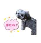 しぇりここreal（個別スタンプ：31）