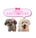 しぇりここreal（個別スタンプ：32）